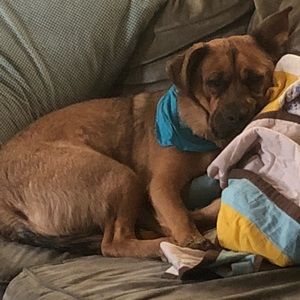 Meet your Posher, Heather